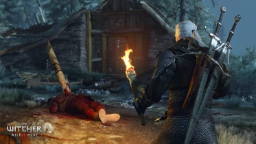 The Witcher 3: Wild Hunt скриншот 55